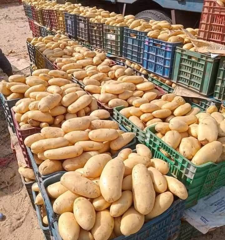 potatoes1